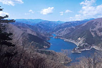 Okutama Lake with Mount Kumotori, the highest peak in the Tokyo metropolitan area, in the far distance on the right side. Under the lonesome trees