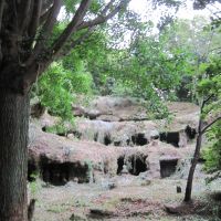 Resting place: Mystery haunts overgrown Mandarado Yagura samurai graveyard in man-made caves at Kotsubo. | KRIS KOSAKA PHOTOS