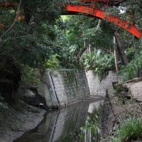 The red-painted Golf Bridge contrasts nicely with Todoroki Valley Park\'s green arches. | THE NATIONAL MUSEUM OF MODERN ART, TOKYO