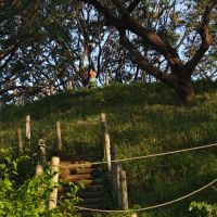 A child stands atop the Noge Otsuka Kofun, a 7th- to 8th-century cave tumulus. | THE NATIONAL MUSEUM OF MODERN ART, TOKYO