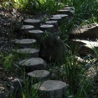 Stepping stones that form part of the 1.2-km path along the ravine. | THE NATIONAL MUSEUM OF MODERN ART, TOKYO
