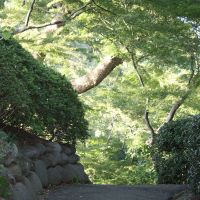 Well-kept keep: The oft-rebuilt Fujimiyagura turret once offered a view of Mount Fuji. | DWANGO CO.