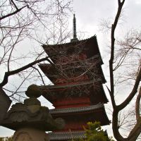 Hot spots: Honmonji Temple\'s carnelian-colored Gojyu-no-to (Five-storied Pagoda; above), and my genial hosts at the Roasting Cafe coffee shop. | MANDY BARTOK PHOTOS
