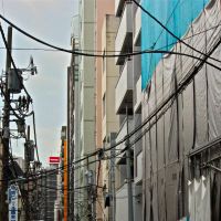 K-spots: Kuramae\'s streets (above)warehouse a world of surprises, from an odiferously rearing caterpillar (below) to doll- shape models at Yoshida Doll Co. (bottom) | KIT NAGAMURA PHOTOS