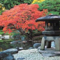 Burning down the house: the massive Yukimi lantern in Kyu Furukawa\'s Japanese garden (above); Toshio Chiba douses danger at the Earthquake Science Museum (below); mother and son form a sweet relationship at dango shop Hiratsukatei Tsuruoka (bottom). | KIT NAGAMURA PHOTOS