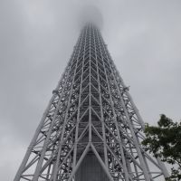 Fog-bound: Visitors wait Tuesday on opening day to go up Tokyo Skytree in Sumida Ward. | AP