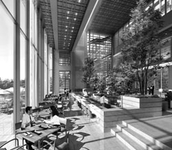 Remodeling: The new Tokyo American Club, set to open in January, will have a common space joining the Adult and Family wings, as seen in this image. Expat clubs boast bygone cachet
