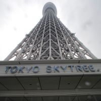 Take the elevator: The Tokyo Sky Tree, the world\'s tallest freestanding broadcast tower, was celebrated at a formal completion ceremony Friday. | KYODO