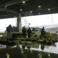 Up from the depths: Fish dealers check out the catches at Kesennuma port in Miyagi Prefecture on Feb. 23. | SETSUKO KAMIYA