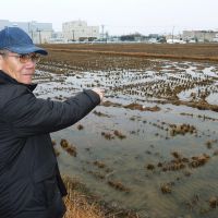 No going back: Hisahiko Okami, 68, points to his farmland, which was contaminated with toxic cadmium. The soil was replaced in 1992, but he hasn\'t grown rice there since 1974. | KYODO