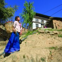 Dorji Norbu, a farmer in Bhutan\'s central Bumthang district, poses with his cattle April 3. | COURTESY OF JUNKO KIMURA