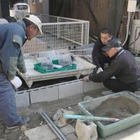 Earning their keep: Men who were once homeless work at a construction site in Ichinomiya, Aichi Prefecture, after being recruited by the Benriya handyman service. | CHUNICHI SHIMBUN