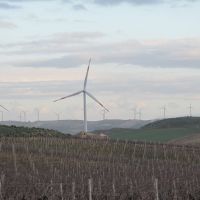 Money spinners:  This wind farm, built on a former vineyard near  Trapani, Sicily, was seized by prosecutors as part of an operation targeting renewable-energy projects with links to organized crime. | THE WASHINGTON POST