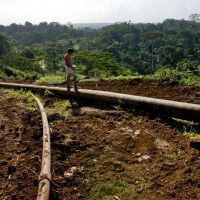 Trouble in paradise: A young boy stands on an oil pipeline in Ecuador\'s Yasuni National Park, one of the world\'s most biologically diverse areas. Ecuador is asking for &#36;3.6 billion in donations in return for leaving the oil in the ground and preserving the park. | AP