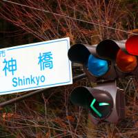 Do not pass go: The “green” of Japanese traffic lights is sometimes pushed closer to the blue spectrum. The Japanese traffic light blues: Stop on red, go on what?