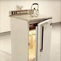 Hajime Imamura\'s \"2002-11 le -- reizoko\" | COURTESY OF NATIONAL MUSEUM OF ART, OSAKA