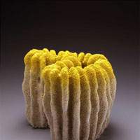 Chieko Katsumata\'s \"Coral\" | COLLECTION OF HALSEY AND ALICE NORTH