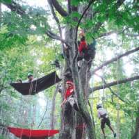 Disadvantaged youngsters on our \"One to One\" program have the time of their lives up in the Afan woods thanks to John Gathright (below), a friend who started an NPO called Tree Climbing Japan. | C.W. NICOL PHOTOS