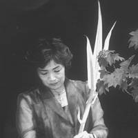 Koka Fukushima, though her parents wanted her to stay at home, has given ikebana demonstrations and workshops in over 40 countries. | ANGELA JEFFS PHOTO