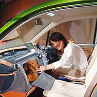 Honda\'s new pet-friendly W.O.W. wagon has a carrying ares for a small animal by the front passenger seat. | PHOTOS COURTESY OF RAIN FOREST FOUNDATION OF JAPAN
