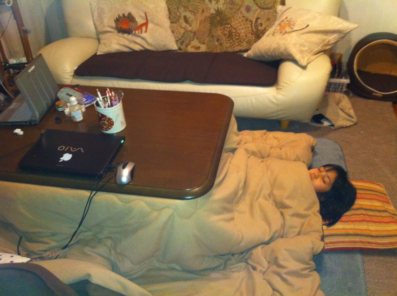 Life under the <em>kotatsu — </em>let the upper body fend for itself - The  Japan Times