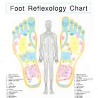Reflexology charts the way the feet are connected to other parts of the anatomy. Applying pressure to specific points on the foot, the practice is believed to relieve congestion or imbalance in corresponding parts of the body. | JEFF OGRISSEG PHOTO