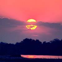 Unforgettable silhouettes and fiery sunsets along the Zambezi River | PHOTO COURTESY OF DUSKIN SERVICEMASTER CO.