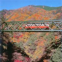 A mountain railway climbs uphill from Hakone-Yumoto to Gora, allowing passengers to enjoy breathtaking views of the gorge below in all its autumn finery. | PHOTOS (c) IMAGES OF JAPAN