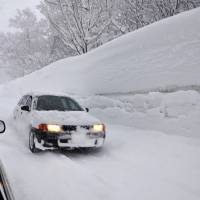 New high: Snow towers over cars early Monday on a road near the Sukayu hot springs resort in Aomori Prefecture. | KYODO