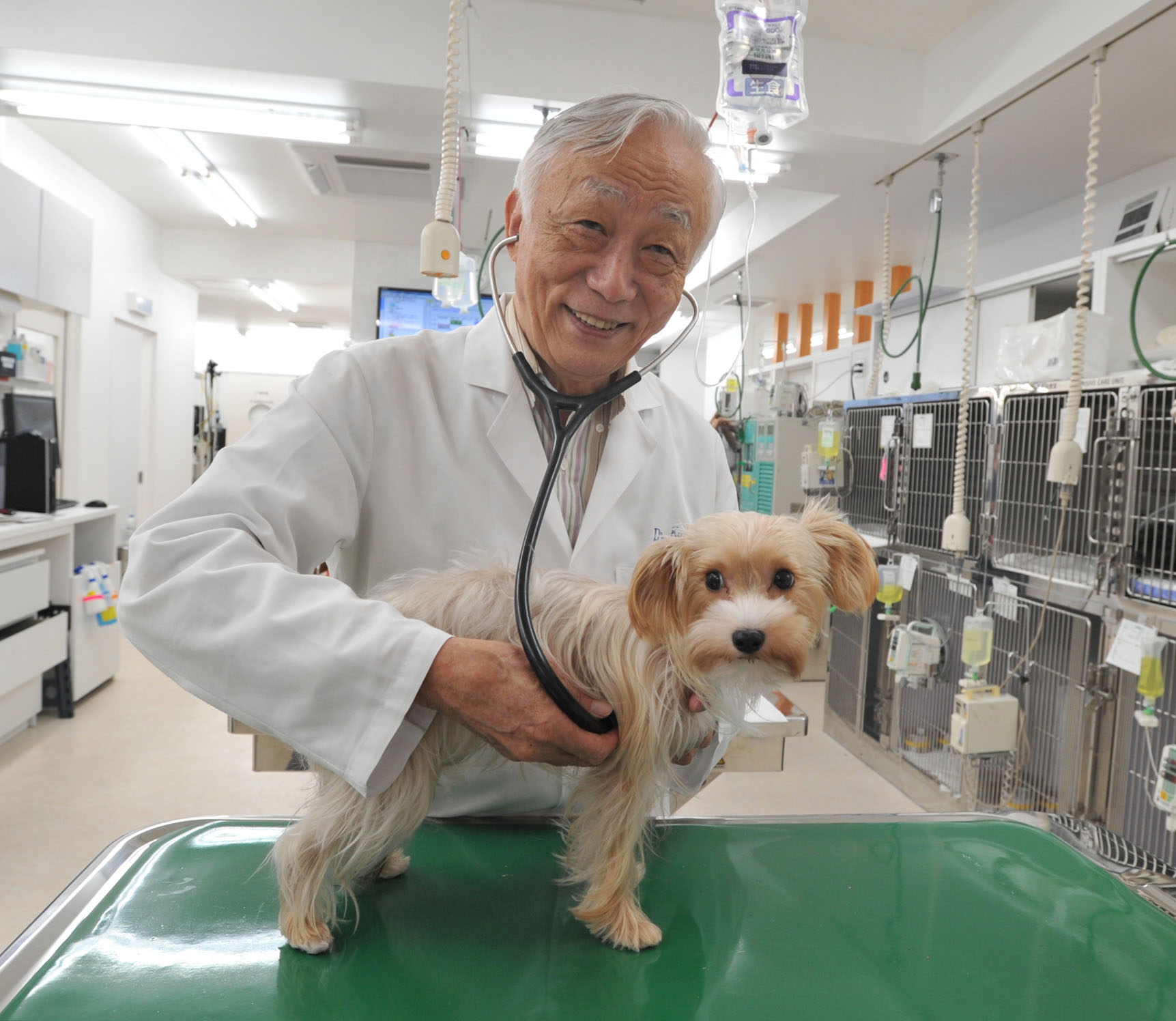 Vets help out foreigners with ill pets | The Japan Times