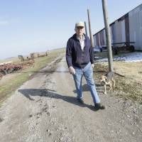 Bean to pick: Hugh Bowman of Sandborn, Indiana, is among the 94 percent of soybean farmers in the state who grow Monsanto\'s Roundup Ready beans. | THE WASHINGTON POST