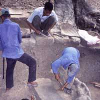 A team led by Japanese researchers from Sophia University unearth further Buddhist statues and artifacts. | PHOTO COURTESY OF THE ROCKY MOUNTAIN INSTITUTE