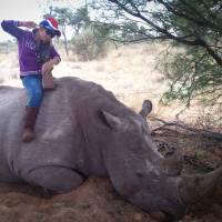 A young lady is seen sitting  astride a very large, dead White Rhino in South Africa ... but for the full story, read on. | ETHAN SALTER