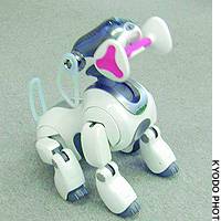 The new version of Sony\'s robot dog Aibo is programmed to pick up and play with his bone. | PHOTO COURTESY OF REINS INTERNATIONAL INC.