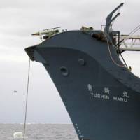 Australia says this undated photo released by its Customs Service shows a dead harpooned minke whale floating off the bow of the Japanese whaler Yushin Maru No. 2 in Antarctic waters. | AUSTRALIAN CUSTOMS SERVICE PHOTO / AP