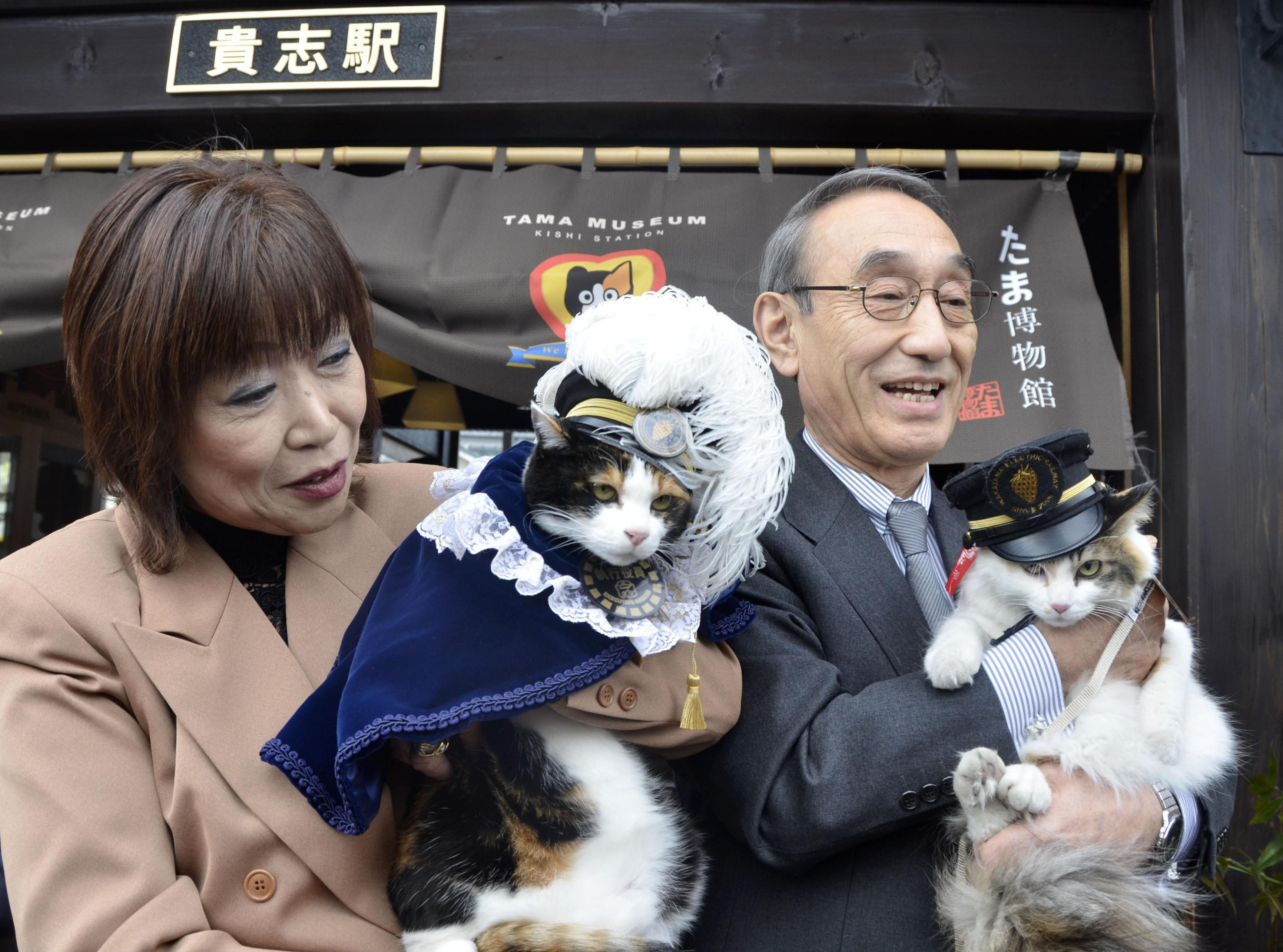 Purr-fect pair: Feline rivals Tama (left), a mascot cat at Kishi Station in Kinokawa, Wakayama Prefecture, and her likely successor, Nitama, are held up for a photo at the station Thursday. | KYODO