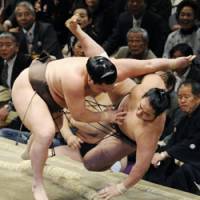 Big toss: Yokozuna Hakuho beats sekiwake Aminishiki with an upper-arm throw on the seventh day of the New Year Grand Sumo Tournament at Ryogoku Kokugikan on Saturday. | KYODO PHOTO