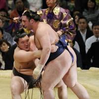 Crouching tiger: Hakuho (left) beats Tochinoshin at the Spring Grand Sumo Tournament on Sunday. | KYODO
