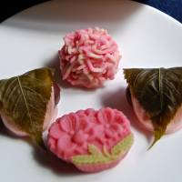 Seasonal snacks: Sakura-mochi wrapped in cherry leaves at Toraya Springtime sweets come into bloom