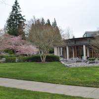 You can do hanami in the Microsoft “campus” in Redmond, Washington. Who turns a company into a 'wonderful place to be'?