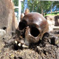 Boneyard: Among the remains found at an archeological site in what is now Aiken, Denmark, is a skull from early Roman Empire times. | EJVIND HERTZ / SKANDERBORG MUSEUM