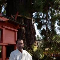 Brief encounters: Groundskeeper Masahito Nakamura at Kasuga Grand Shrine in Nara with a sugi (Japanese cedar) more than 800 years old. | WINIFRED BIRD