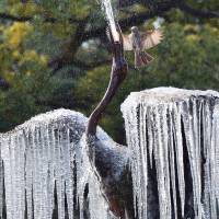 Frozen in time: A bird flies over a fountain featuring a sculpture of a crane with icicles hanging from its wings at a park in Tokyo on Thursday. A cold snap sent temperatures plummeting to their lowest levels this winter across Japan. | AFP-JIJI