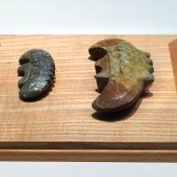 Talc \"child-bearing\"magatama beads excavated from the Okinoshima ceremonial site (No.8), Munakata City, Fukuoka. Such beads were presumed to be used as ceremonial objects for magic rituals. | SACHIKO TAMASHIGE