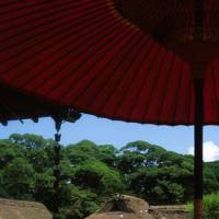 Homey gem: Thatched teahouses and a Genkyu Garden view that \"captures Hikone Castle. | ROBBIE SWINNERTON PHOTOS