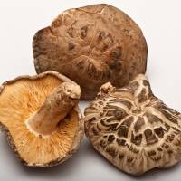 Know your mushrooms: Dried shiitake can have smooth or bumpy caps. The gills should be a clear yellow and well defined. | EREZ GOLANI SOLOMON PHOTO