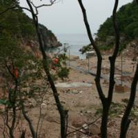 Wise choice: Tsunami debris still remains caught in trees by the sea in Aneyoshi (above). Above: Aneyoshi\'s village leader, Tamishige Kimura, said that \"no one ever even suggested relocating back down by the water.\" | EDAN CORKILL (ABOVE); JIN HARADA (BELOW)