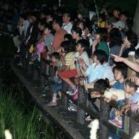 Lighten up: Children watch fireflies by the Tsuri River in Fussa at a previous festival. | CHUKMAN SO. &#169; 2011 WURTELE RESEARCH GROUP PHOTOS