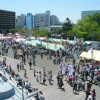 Food fair: Visitors peruse the varieties of curry on hand at last year\'s Yokosuka Curry Festival. The Kanagawa prefecture city boasts a historical claim to the dish. | YOSHIAKI MIURA