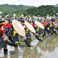 Rice songs: Women take part in a rice- planting festival in Hiroshima. | KYODO